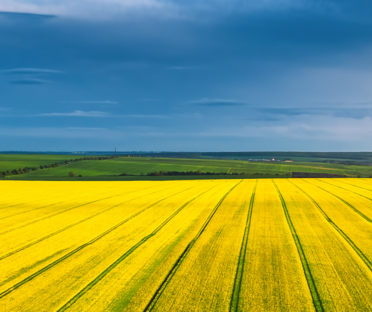 Grupa Azoty rozwija segment nawozowy  i rozszerza portfolio o nowy produkt z siarką